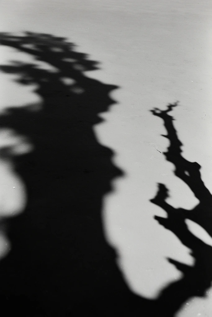 Stark Noir Minimalism style AI image example 2