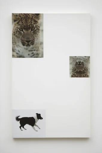 Deconstructed Archival Minimalism style AI image example 3