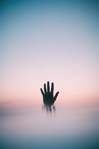 Ethereal Minimalist Solitude style reference image — stark silhouette