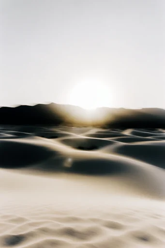 Kinetic Monochrome Minimalism style reference image — motion blur