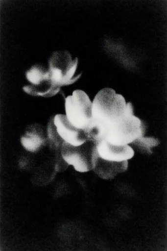 Spectral Obsidian Radiance style reference image — chiaroscuro lighting