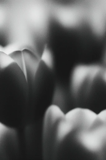 Tactile Cinematic Noir style reference image — tactile noise texture