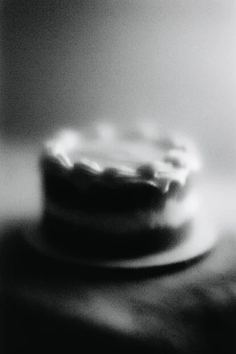 Ethereal Noir Pictorialism style reference image — atmospheric fog