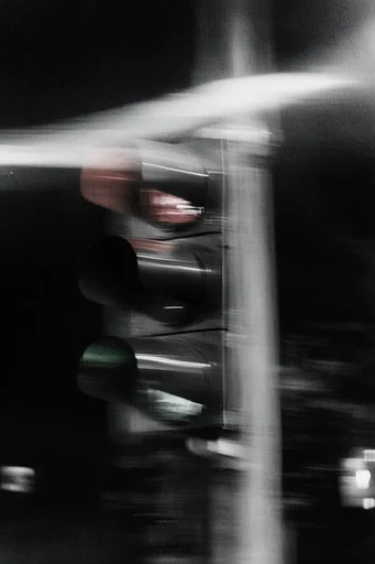 Spectral Motion Noir style reference image — high-contrast black and white