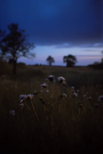 Cinematic Twilight Melancholy style reference image — soft airbrush texture