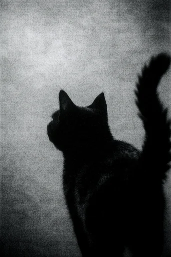 Gritty Liminal Noir style reference image — atmospheric noir