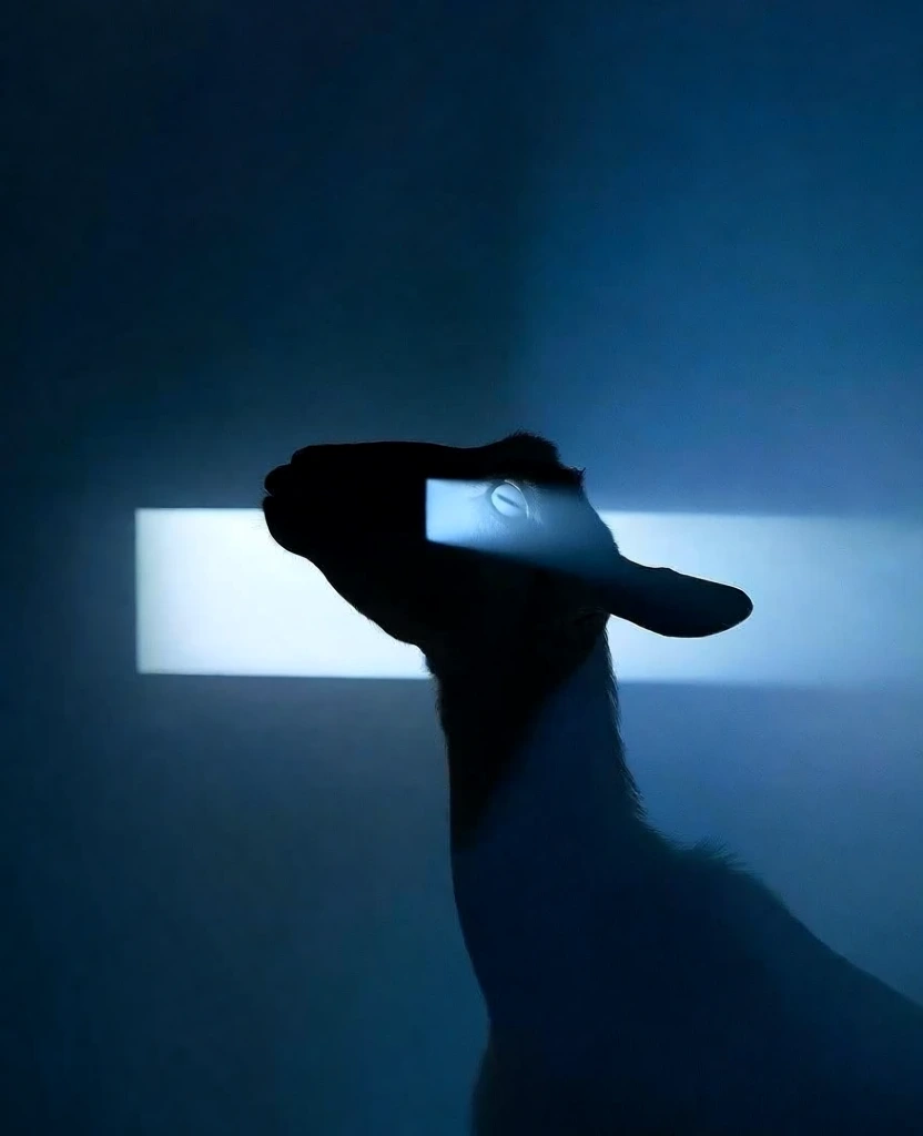 silhouette of a goat leaning back, prominent horizontal rectangular pupil visible in its eye, minimalist cinematic composition, backlit by a sharp glowing horizontal rectangular bar of bright white light, monochromatic deep blue atmospheric color palette, soft gradient studio background, high contrast lighting, clean professional brand aesthetic, surreal mood, sharp silhouette edges against a hazy blue environment, moody lighting, low angle perspective, minimalist surrealist photography style.