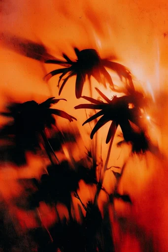 Kinetic Amber Noir style reference image — fiery atmospheric glow