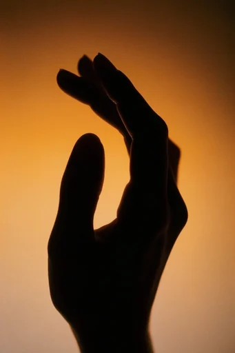 Luminous Amber Silhouette style reference image — dramatic rim lighting