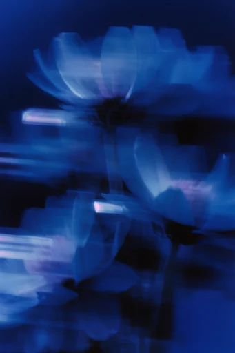 Spectral Cobalt Motion style reference image — deep indigo atmosphere
