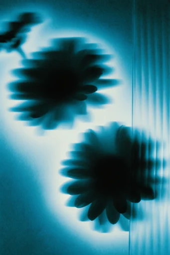 Ethereal Glitch Minimalist style reference image — cybernetic distortion