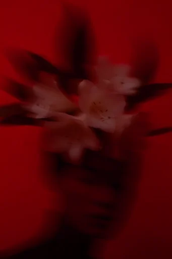 Crimson Spectral Noir style reference image — dark surrealism