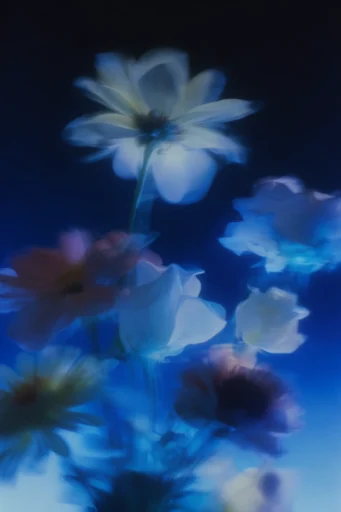 Spectral Indigo Motion style reference image — ethereal dreamscape