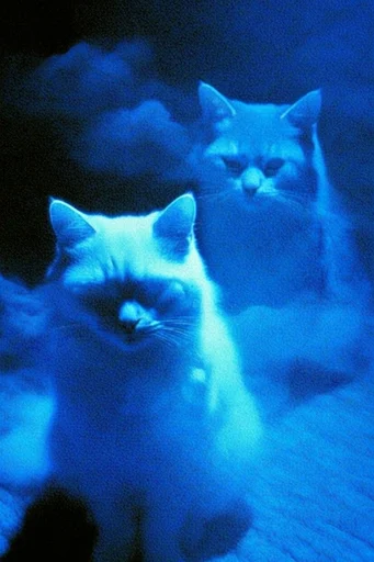 Nocturnal Cobalt Dreamscape style reference image — analog horror texture