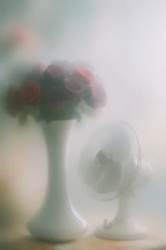 Ethereal Luminescent Minimalism style reference image — ethereal soft focus