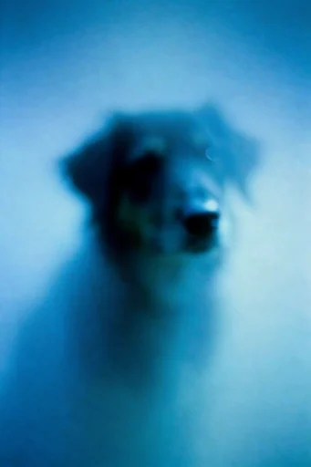 Monochromatic Ethereal Blur style reference image — deep indigo shadows