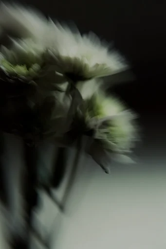 Ethereal Kinetic Fragmentation style reference image — cinematic film grain