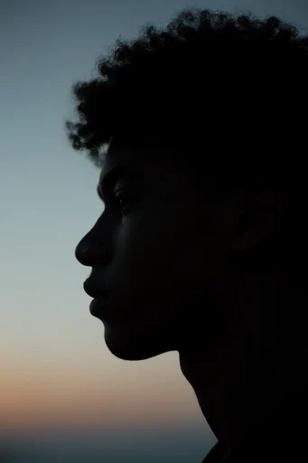 Cinematic Chiaroscuro Noir style reference image — silhouette