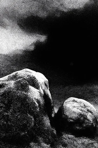 Gritty Monochromatic Noir style reference image — heavy film grain