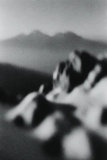 Velvety Monochrome Grain style reference image — heavy grain texture