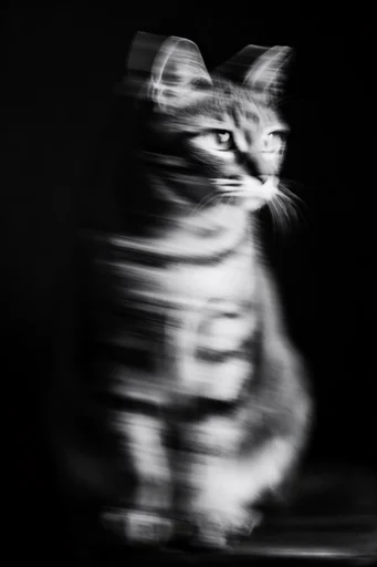 Kinetic Spectral Noir style reference image — cinematic noir