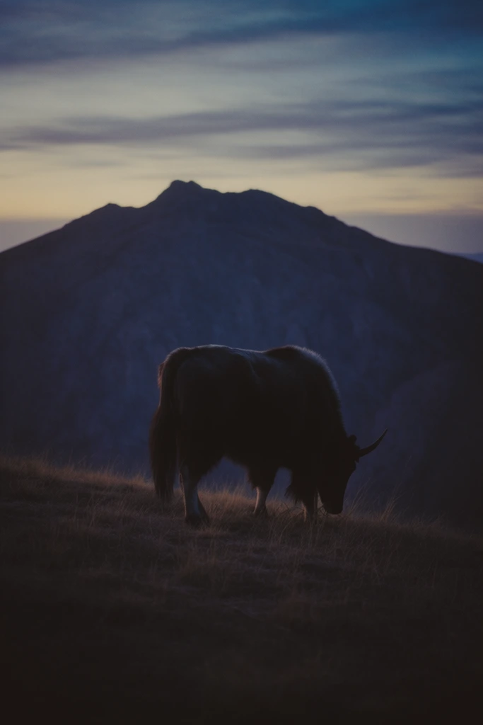 Cinematic Twilight Solitude style AI image example 3