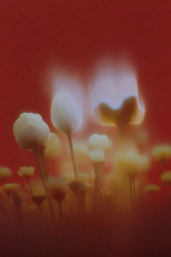 Ethereal Crimson Nocturne style reference image — chiaroscuro lighting