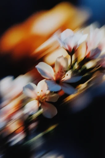 Kinetic Urban Impressionism style reference image — high contrast cinematic lighting