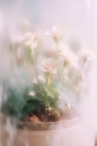 Ethereal Luminescent Minimalism style reference image — minimalist composition