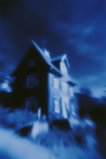 Ethereal Nocturnal Cyanotype style reference image — lo-fi analog grain