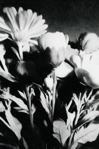 Cinematic Chiaroscuro Noir style reference image — noir atmosphere