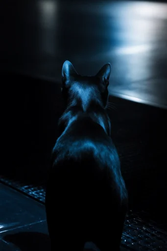 Minimalist Cybernetic Noir style reference image — low-key cinematic lighting