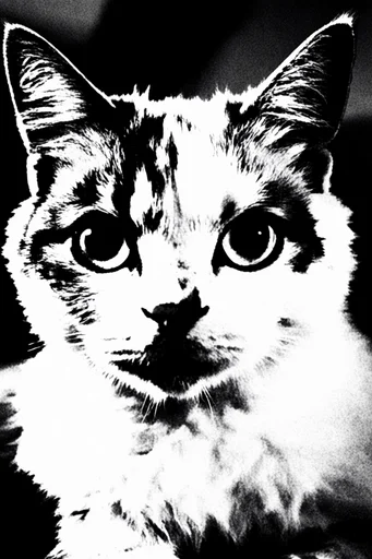 Gritty Monochromatic Noir style reference image — brutalist graphic design