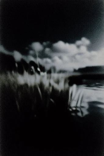 Gritty Monochromatic Noir style reference image — heavy film grain