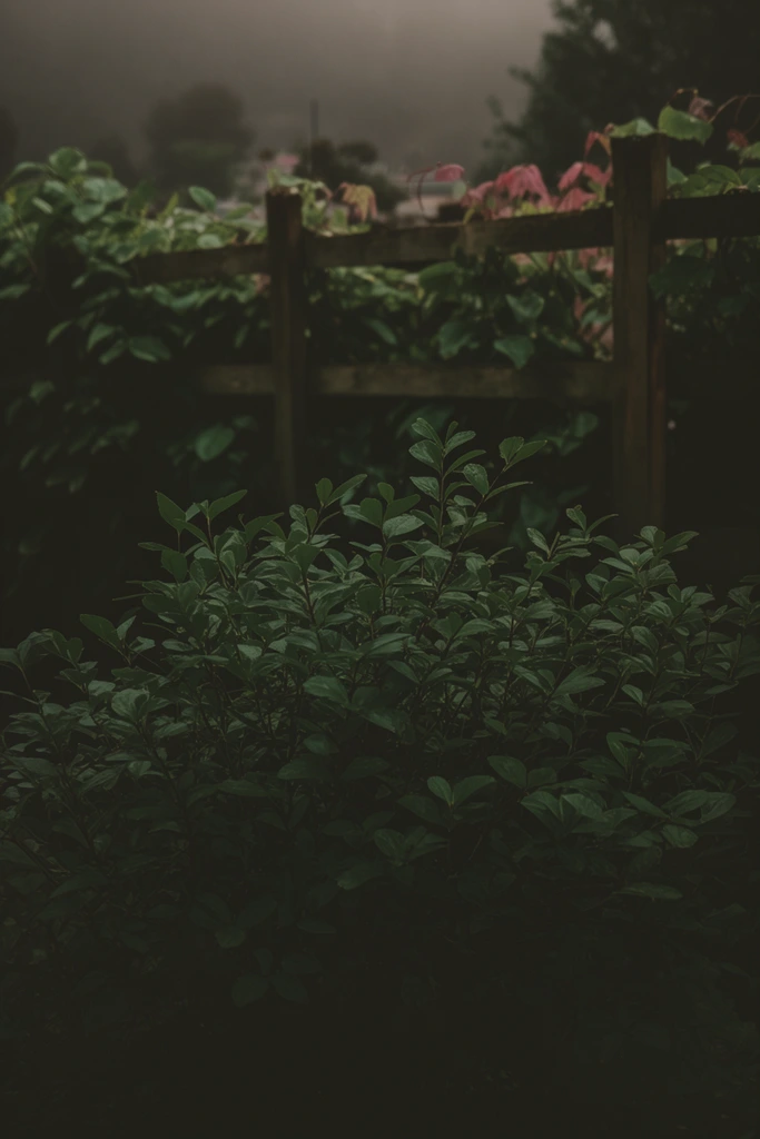 Nocturnal Analog Botanicals style AI image example 2