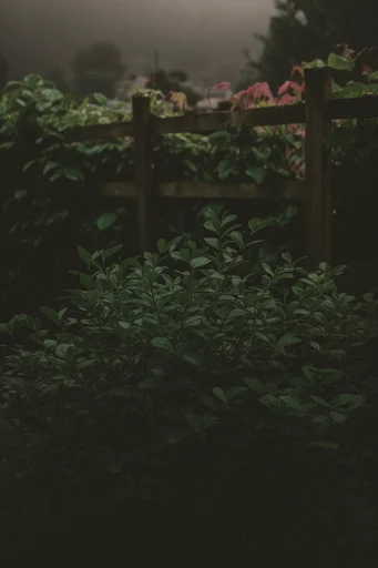 Nocturnal Analog Botanicals style AI image example 2
