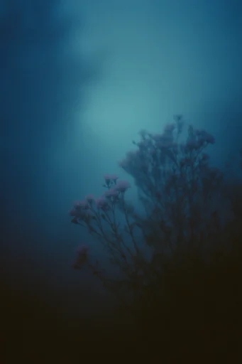 Nocturnal Cyan Noir style reference image — cinematic liminal space