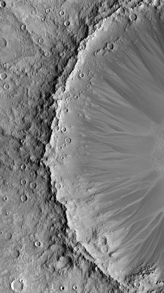 A stark grayscale satellite view of a barren planetary surface capturing the rim of a massive impact crater. A sweeping, rugged ridge line dominates the left side, dividing the terrain into two distinct textures. To the right, the smooth inner bowl features prominent radial streaks fanning outward in a sweeping sunburst pattern. To the left, the elevated exterior crust is heavily fractured and pockmarked with numerous smaller bowl-shaped craters, some clustered directly along the main inner slope. Shot from a direct overhead nadir perspective, the high-contrast monochromatic lighting emphasizes deep shadows and sharp topographical relief across the desolate rocky landscape.