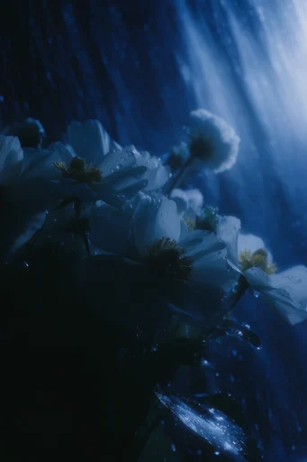 Luminous Abyssal Surrealism style reference image — fluid water textures