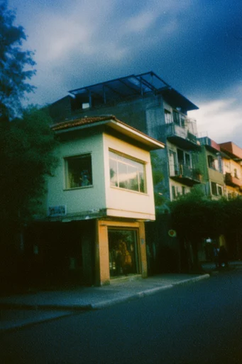 Nostalgic Analog Earth style reference image — 35mm analog film grain