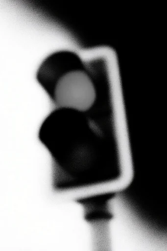 Ethereal Grain Noir style reference image — high-contrast monochrome