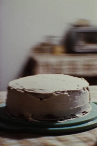 Analog Nostalgic Realism style reference image — soft focus haze