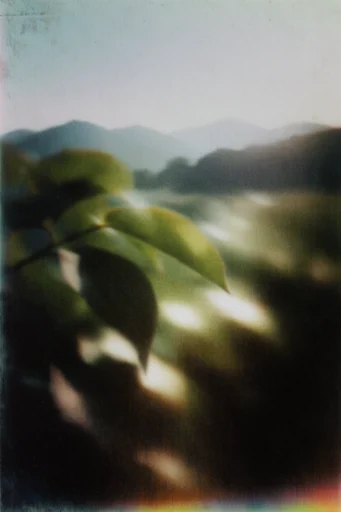 Ethereal Pictorialist Haze style reference image — extreme soft focus