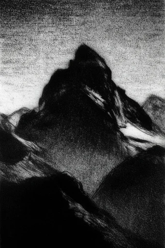 Monochrome Shadow Grain style reference image — high-contrast monochrome