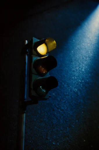 Cinematic Nocturnal Melancholia style reference image — nocturnal blue palette