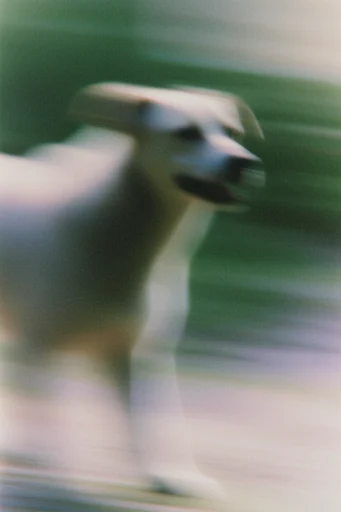 Ethereal Motion Impressionism style AI image example 3