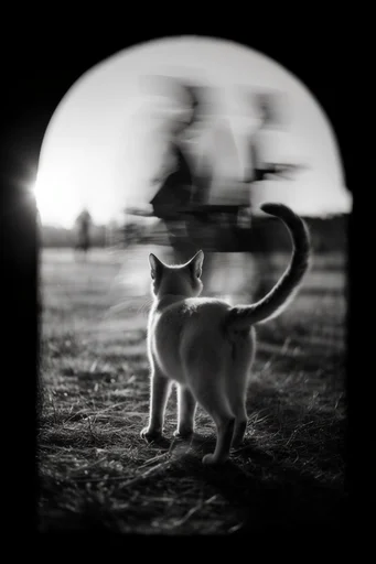 Spectral Urban Motion style reference image — vintage film grain