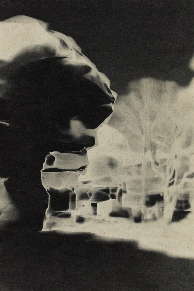 Monochrome Analog Disturbance style AI image example 2