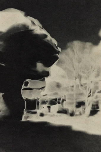 Monochrome Analog Disturbance style reference image — distressed xerox texture