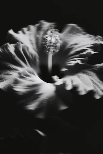 Spectral Industrial Noir style reference image — xerox texture